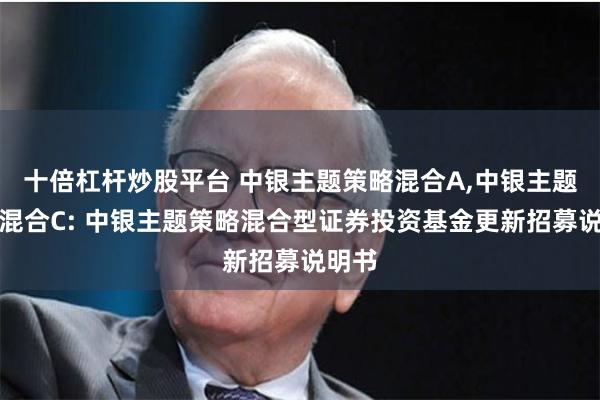 十倍杠杆炒股平台 中银主题策略混合A,中银主题策略混合C: 中银主题策略混合型证券投资基金更新招募说明书