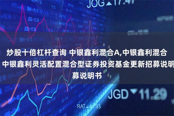 炒股十倍杠杆查询 中银鑫利混合A,中银鑫利混合C: 中银鑫利灵活配置混合型证券投资基金更新招募说明书