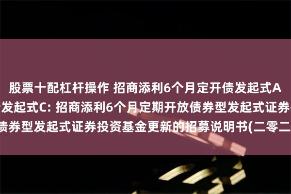 股票十配杠杆操作 招商添利6个月定开债发起式A,招商添利6个月定开债发起式C: 招商添利6个月定期开放债券型发起式证券投资基金更新的招募说明书(二零二四年第一号)
