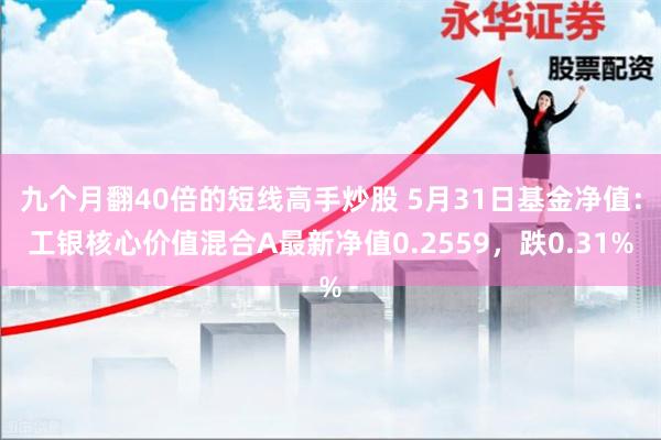 九个月翻40倍的短线高手炒股 5月31日基金净值：工银核心价值混合A最新净值0.2559，跌0.31%