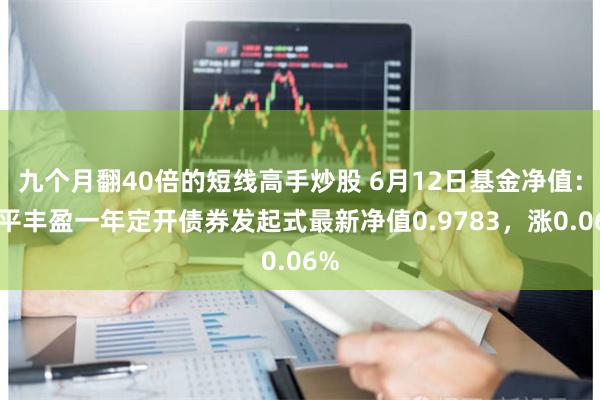 九个月翻40倍的短线高手炒股 6月12日基金净值：太平丰盈一年定开债券发起式最新净值0.9783，涨0.06%