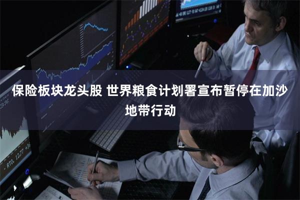 保险板块龙头股 世界粮食计划署宣布暂停在加沙地带行动