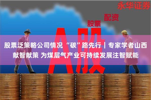 股票泛策略公司情况 “碳”路先行｜专家学者山西献智献策 为煤层气产业可持续发展注智赋能