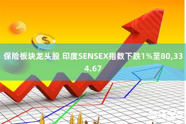 保险板块龙头股 印度SENSEX指数下跌1%至80,334.67