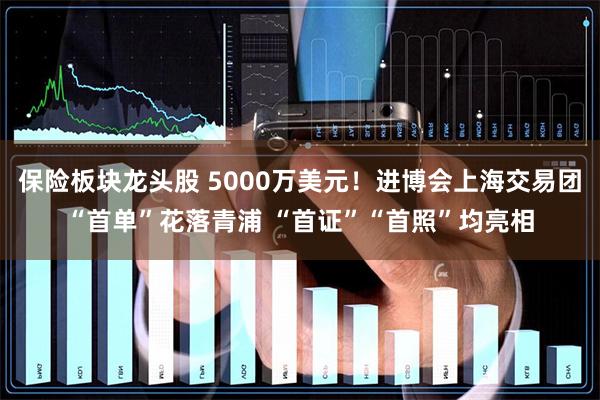 保险板块龙头股 5000万美元！进博会上海交易团“首单”花落青浦 “首证”“首照”均亮相