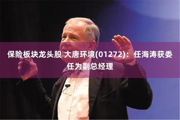 保险板块龙头股 大唐环境(01272)：任海涛获委任为副总经理