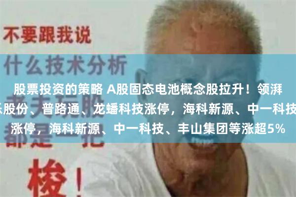 股票投资的策略 A股固态电池概念股拉升！领湃科技20CM涨停，高乐股份、普路通、龙蟠科技涨停，海科新源、中一科技、丰山集团等涨超5%