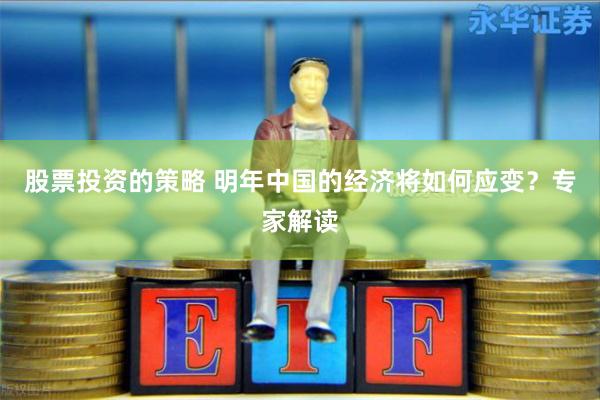 股票投资的策略 明年中国的经济将如何应变？专家解读