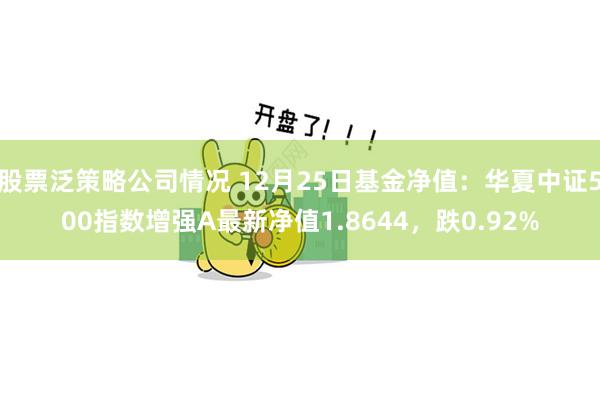 股票泛策略公司情况 12月25日基金净值：华夏中证500